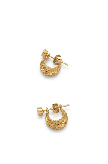 2Pcs (1 Pair / Jodi)D-109 Gold Plated Earrings for Women & Men | Unisex Elegant Lightweight Party Wear Jewelry